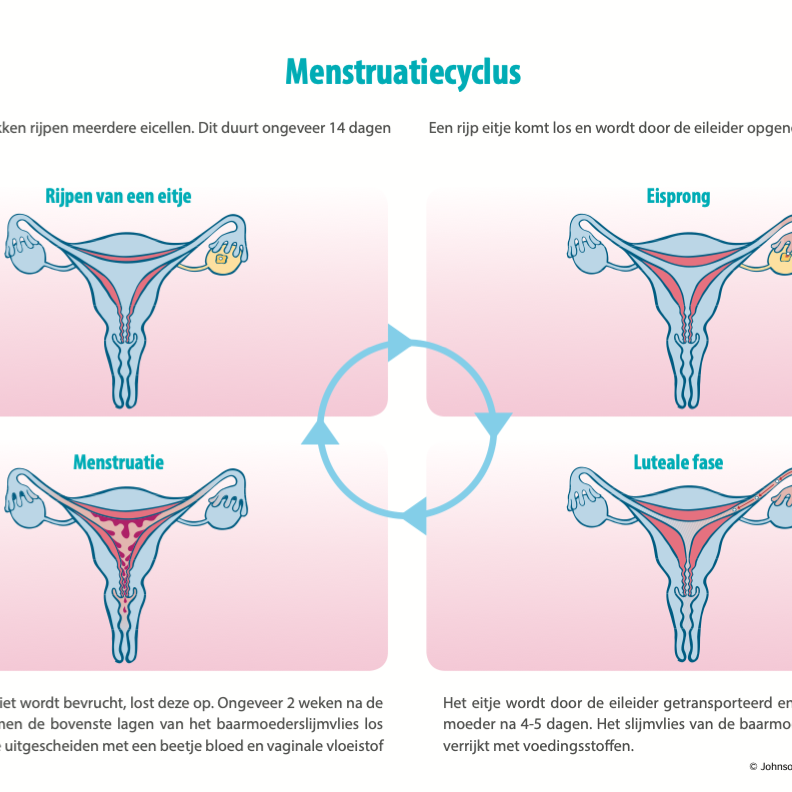 Menstruatiecyclus